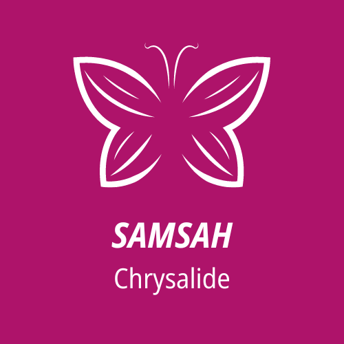 SAMSAH Chrysalide Logo
